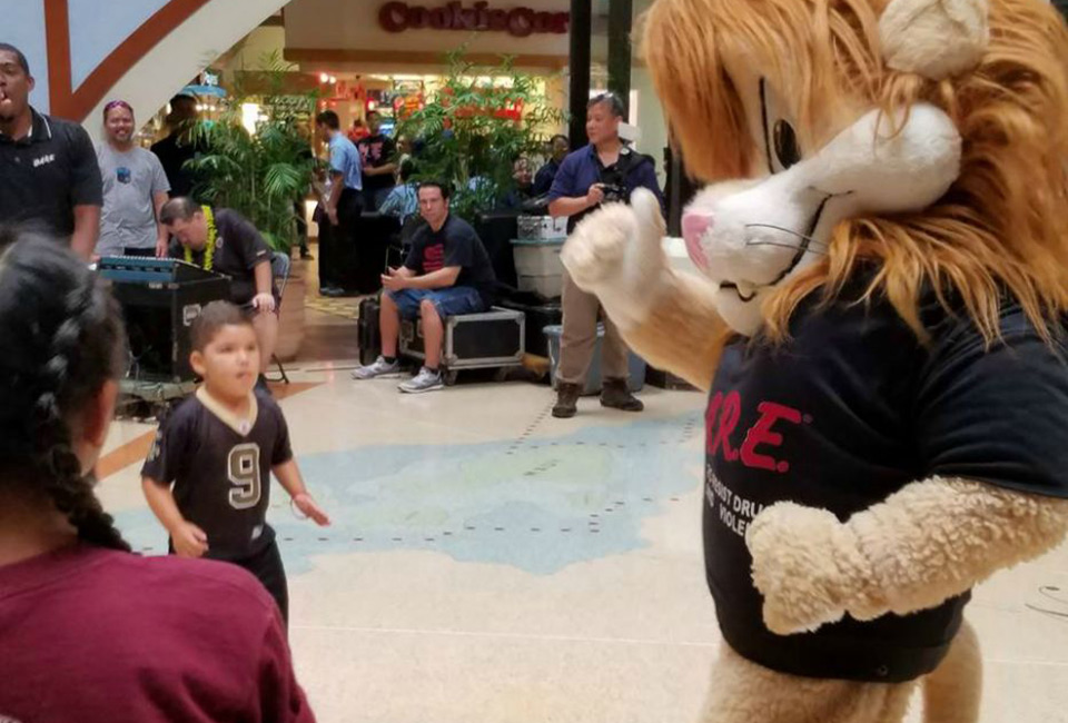 image of D.A.R.E. Program
