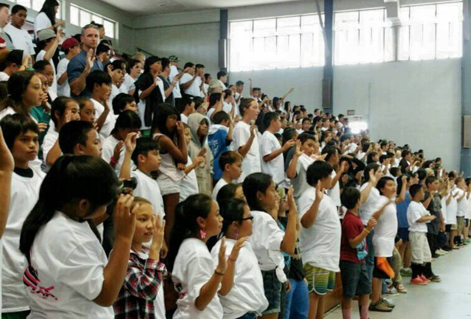 image of D.A.R.E. Program